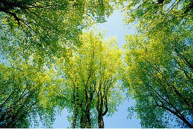 KK对战平台人气新图来袭！怪物有点多，要顶不住了！